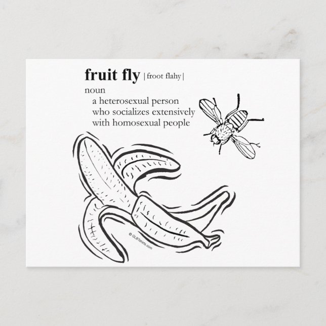 CARTE POSTALE MOUCHE DE LA FRUIT (Devant)