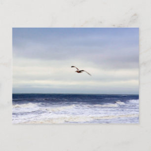 Carte Postale Mouette au-dessus des vagues