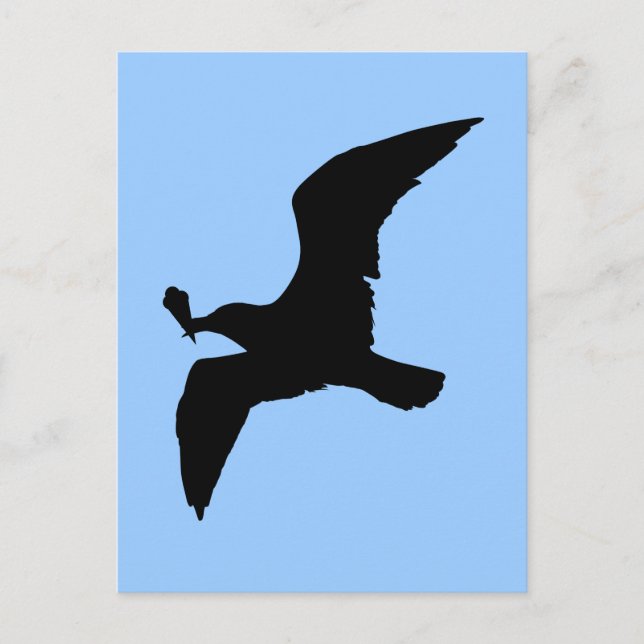 Carte Postale Mouette Avec Icecream (Devant)
