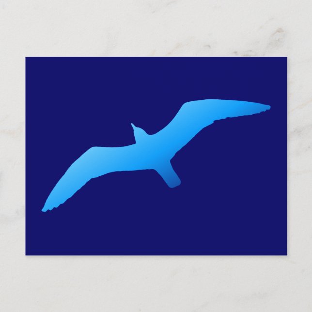 Carte Postale Mouette bleue en vol (Devant)