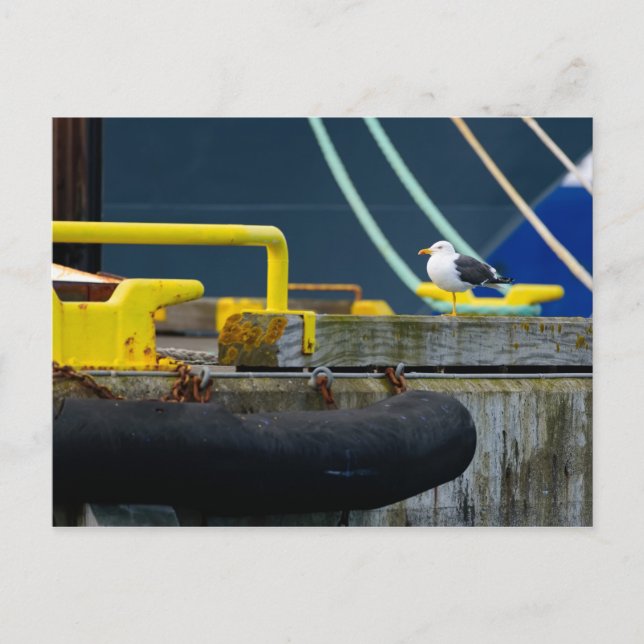 Carte Postale Mouette dans un environnement abstrait (Devant)