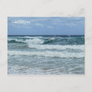 Carte Postale Mouette et Mer