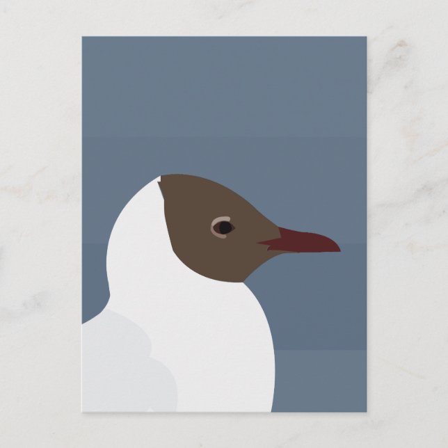 Carte Postale Mouette Oiseau Goéland Mouette  (Devant)