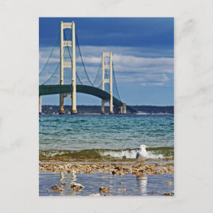 Carte Postale Mouette par le pont Mackinac