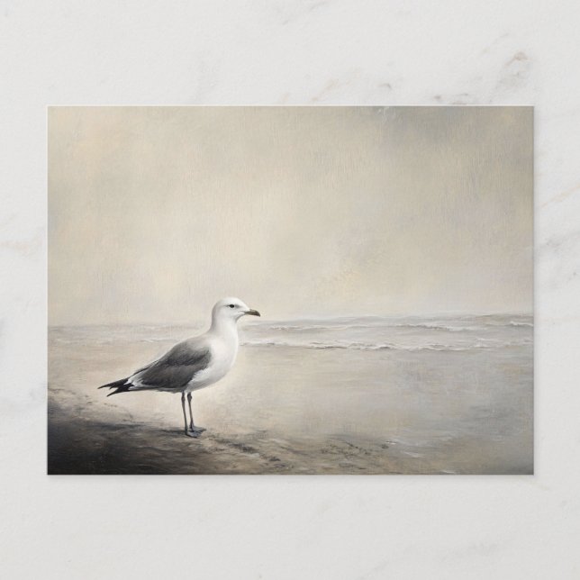 Carte Postale Mouette solitaire au bord de l'eau (Devant)