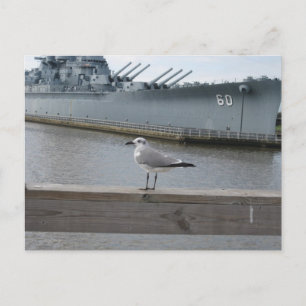 Carte Postale Mouette USS Mobile Cuirassé Photographie