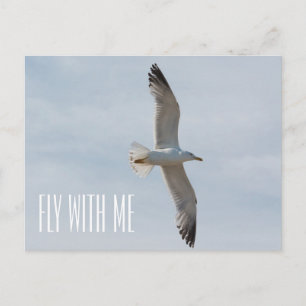 Carte Postale Mouette volant