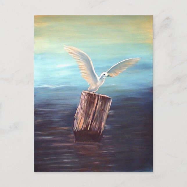 Carte Postale Mouette : www.AriesArtist.com (Devant)