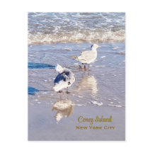Mouettes de Coney Island