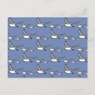 Carte Postale Mouettes en vol