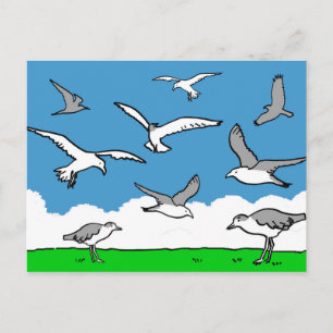 Carte Postale Mouettes en vol