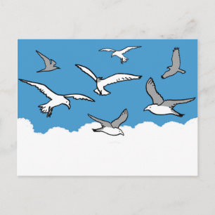 Carte Postale Mouettes en vol