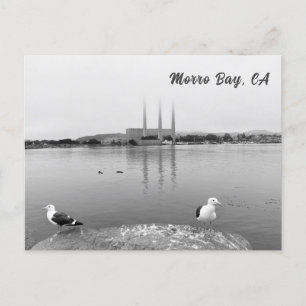 Carte Postale Mouettes marines à Morro Bay en Californie