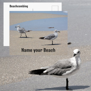 Carte Postale Mouettes sur la plage rivage personnalisable