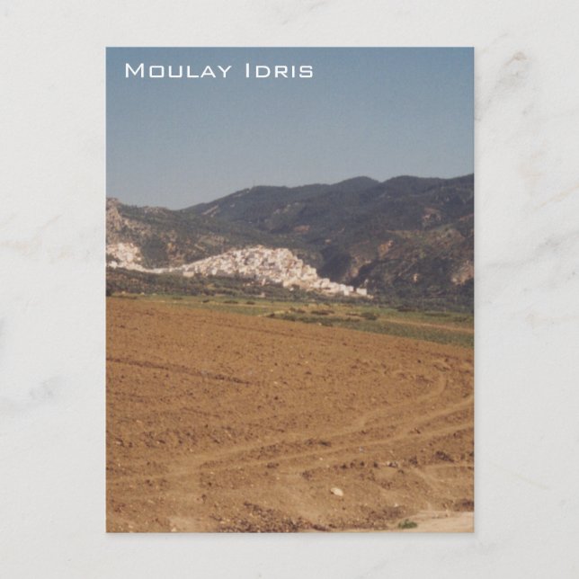 Carte Postale Moulay Idris (Devant)
