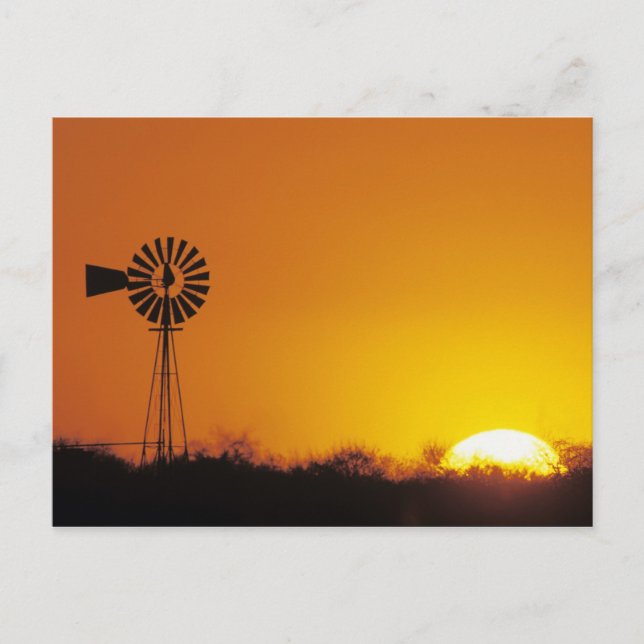 Carte Postale Moulin à vent au coucher du soleil, Sinton, Texas, (Devant)