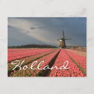 Carte Postale Moulin à vent avec tulipe rose au printemps