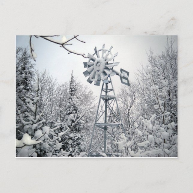 Carte Postale Moulin à vent et arbres couverts de neige. (Devant)