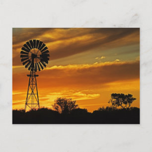 Carte Postale Moulin à vent et coucher de soleil, William Creek,