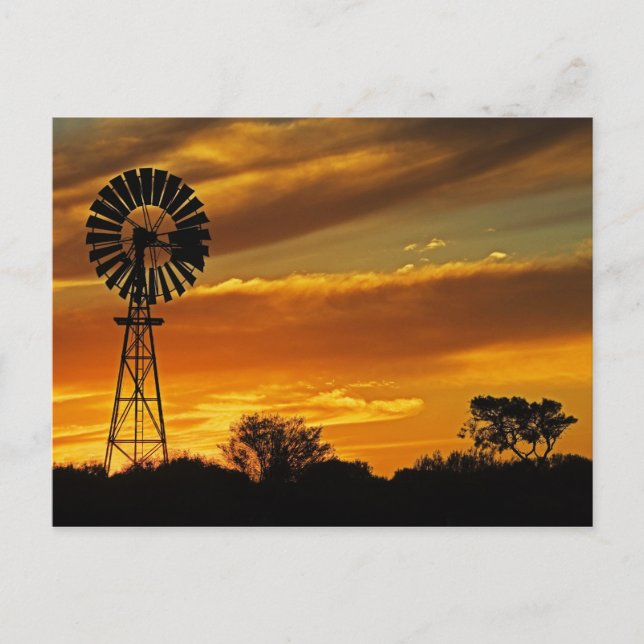 Carte Postale Moulin à vent et coucher de soleil, William Creek, (Devant)