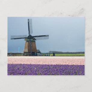 Carte Postale Moulin à vent traditionnel aux fleurs roses et vio