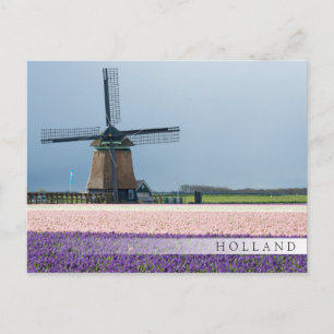 Carte Postale Moulin à vent traditionnel aux fleurs roses et vio