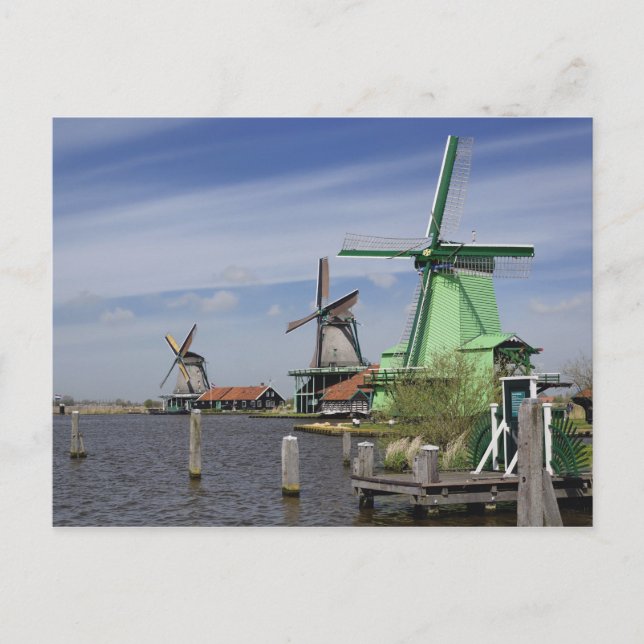 Carte Postale Moulin à vent, Zaanse Schans, Hollande, Pays-Bas 2 (Devant)