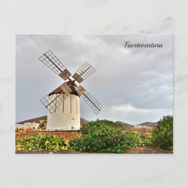 Carte Postale Moulin à vin à Fuerteventura. (Devant)