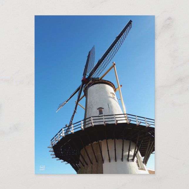 Carte Postale Moulin aux Pays-Bas à Willemstad. (Devant)