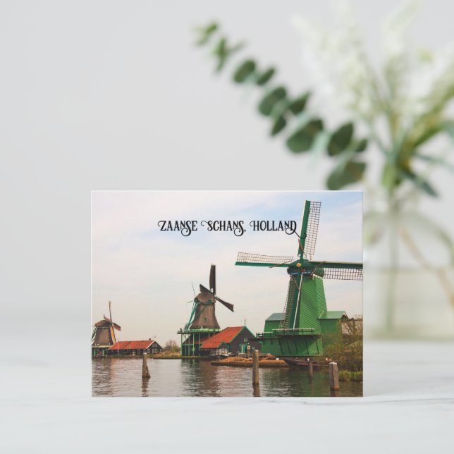Carte Postale Moulins à vent hollandais, Zaanse Schans. (Debout devant)