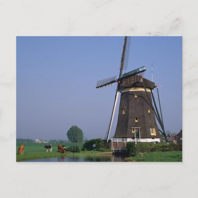 Carte Postale Moulins à vent, Leidschendam, Pays-Bas (Devant)