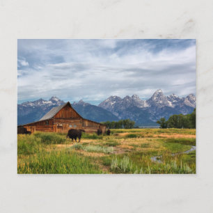 Carte Postale Moulton Barn