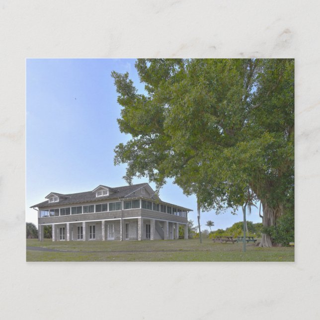 Carte Postale Mound House et Strangler Fig, Floride (Devant)