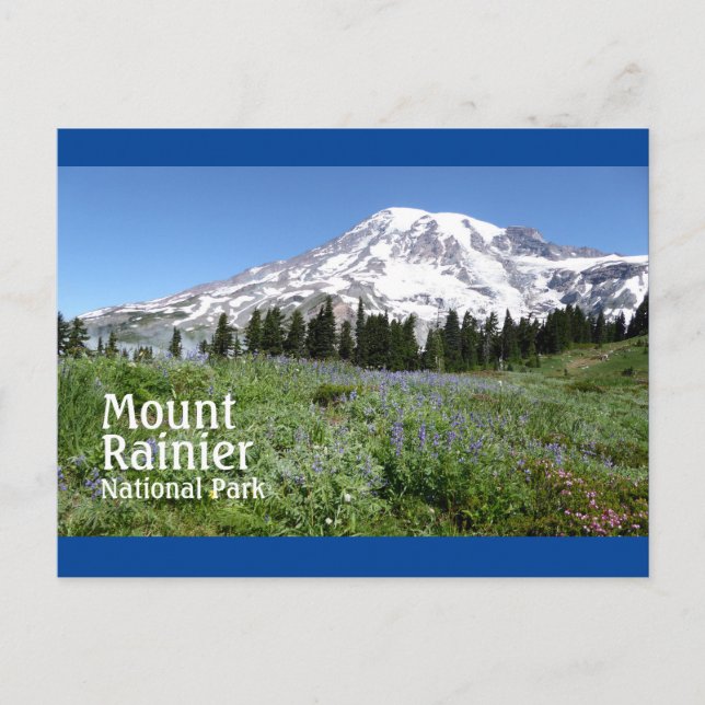 Carte Postale Mount Rainier N.P. avec texte (Devant)