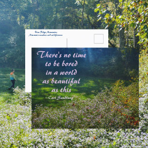 Carte Postale Mountain Field Blue Ridge Mountains Sandburg Citat