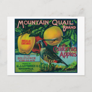 Carte Postale Mountain Quail Apple Crate Étiquette