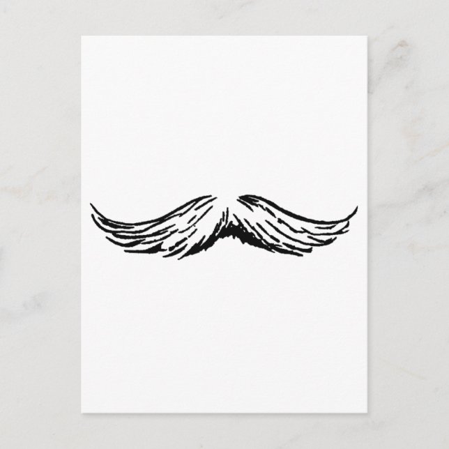 Carte Postale Moustache Le MUSÉE Zazzle Cadeaux (Devant)