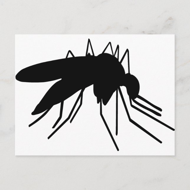 Carte Postale Moustique (Devant)