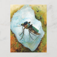 Moustique agaçant plaisir été