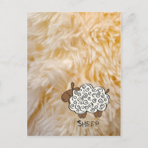 Carte Postale Mouton