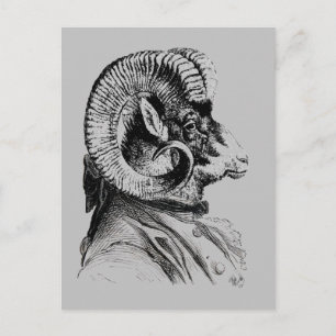 Carte Postale Mouton Bighorn En Costume