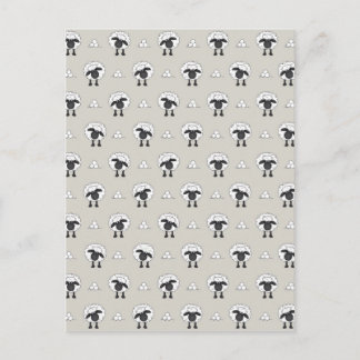 Carte Postale Mouton Et Laine