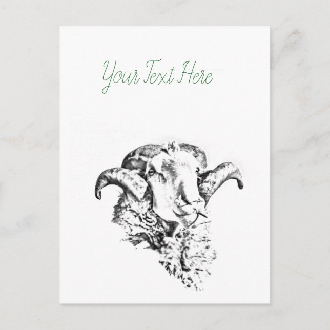 Carte Postale Mouton funky et mignon (Devant)