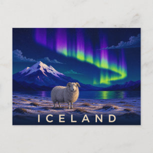 Carte Postale Mouton islandais sous l'aurore   Islande iconique