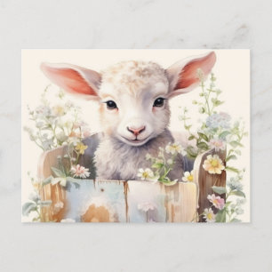 Carte Postale Mouton Mignon Blotti Dans Une Boîte
