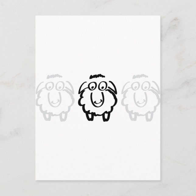 Carte Postale mouton noir blanc moutons (Devant)