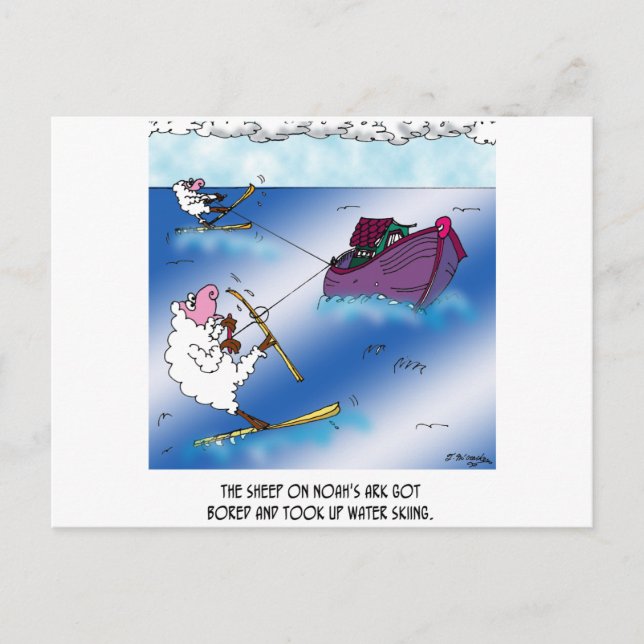 Carte Postale Moutons sur l'Ark Water Ski (Devant)