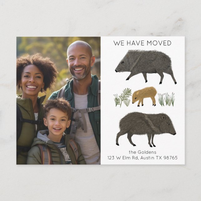 Carte Postale MOUVEMENT FAIRE-PART Javelina Famille Désert PERSO (Devant)