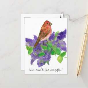 Carte Postale Moving Faire-part New Hampshire Finch Lilac