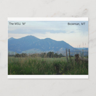 Carte postale MSU "M"